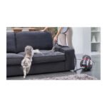 Dyson Cinetic Big Ball Absolute 2 700 W Toz Torbasız Elektrikli Süpürge - Görsel 4