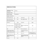 Siemens KG55NCIE0N 483 LT No-Frost Kombi Tipi Buzdolabı - Görsel 4